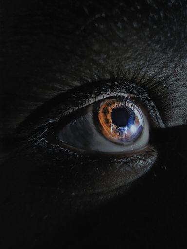 A vertical closeup of the brown iris of a person's eye looking up - aesthetic wallpaper