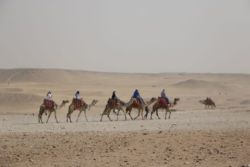 A beautiful view of a desert with camels caravan