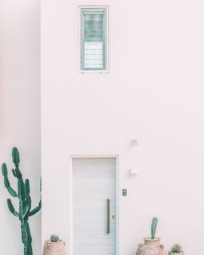 A vertical shot of a pastel-color house entrance decorated with cacti in pots