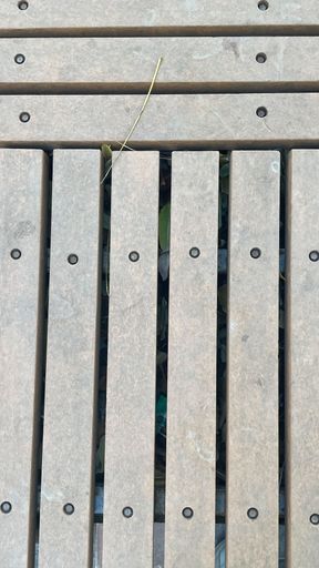 A vertical closeup shot of wooden floor construction on the terrace
