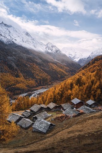 Autumnal mountain scenery with typical Swiss chalets surrounded by golden larches and snow on the mountain peaks in Arolla, Valais, Switzerland
