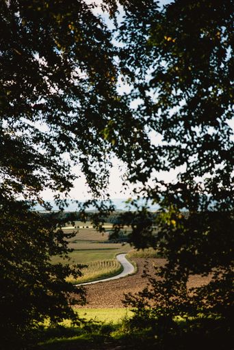 A vertical sot of a winding road through the field as seen through trees