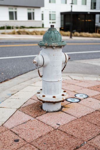 A vertical shot of a fire hydrant near the street