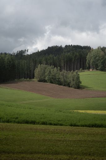 A vertical shot of green fields and forest against the background of the cloudy sky. Czech Republic.
