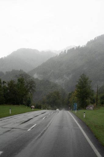 A vertical shot of a road leading to the dense forests covered with fog on a gloomy day