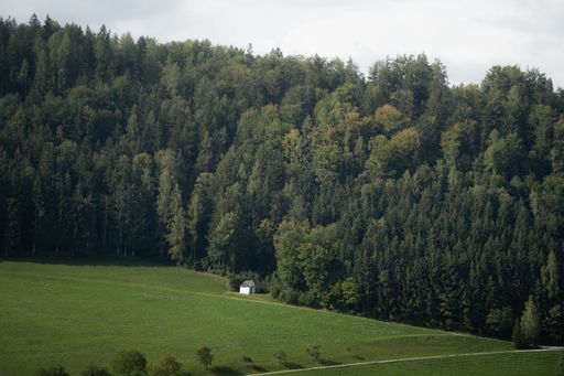 A distant shot of a single house against the dense forest on a green field