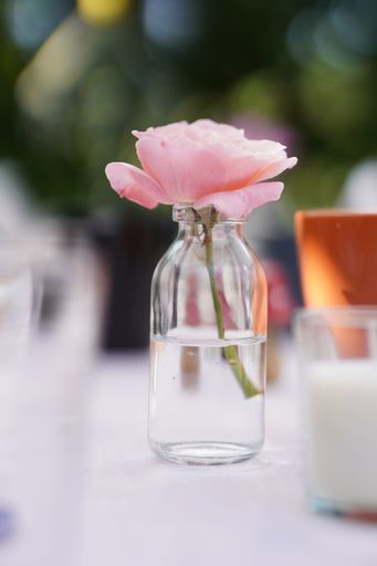 A closeup shot of a single little pink flower on the clear bottle on the table.
