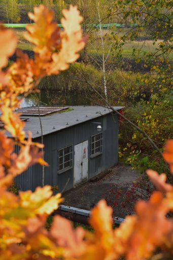 A high-angle vertical of a small house with yellow leaves and trees 
blurred around