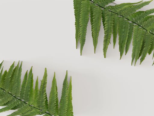 A 3D rendering of fern leaves on white background