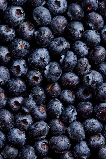 A closeup shot of water drops on blueberries