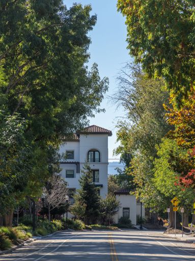 A vertical shot of an empty road leading up to a building surrounded by beautiful trees