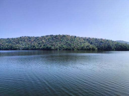 A beautiful view of a lake surrounded by trees under a clear blue sky.