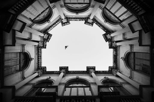 A low-angle grayscale of symmetrical building architecture and facade with a skyscape and bird in the background