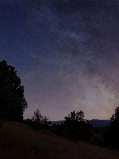 A beautiful starry sky over the silhouettes of the trees.