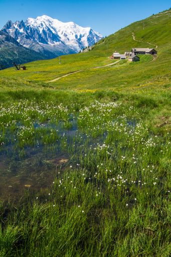 A landscape of wet grass and houses in charamillon gondola alps in Haute Savoie, France, vertical shot