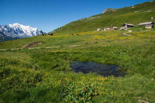 A landscape scene of green hills and rural houses in charamillon gondola alps in Haute Savoie, France