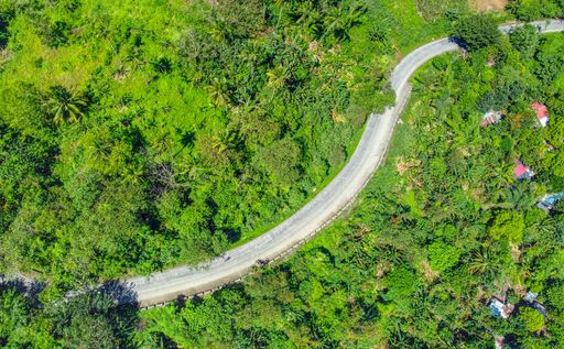 A top view of a road surrounded by green trees and grass on a sunny day in summer