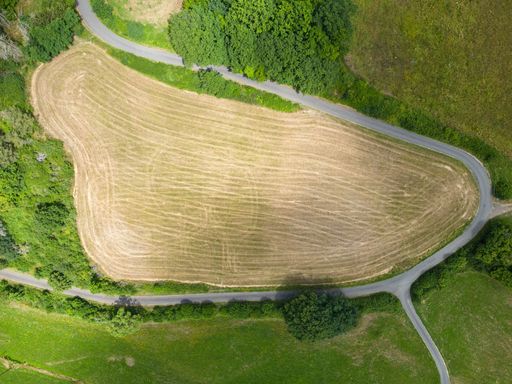 An aerial shot of a green field with asphalt road in it