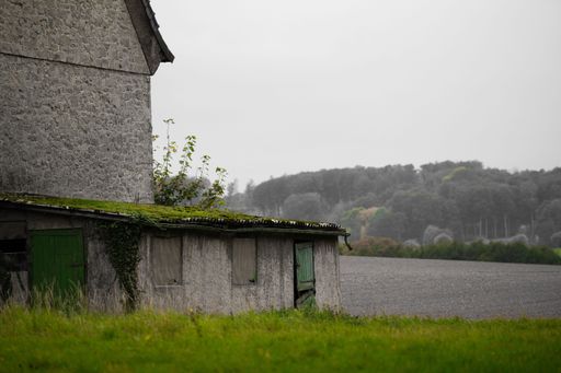 A stone building on the shore of a lake against the green forest