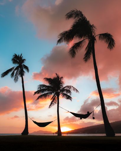 A vertical shot of silhouettes hammocks attached to palms under the colorful sunset sky