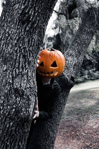 A vertical shot of a man with a carved pumpkin on his head looking from behind a tree