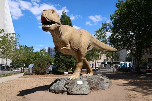 A life-size model of a Tyrannosaurus rex in front of the Senckenberg Museum in Frankfurt, Germany