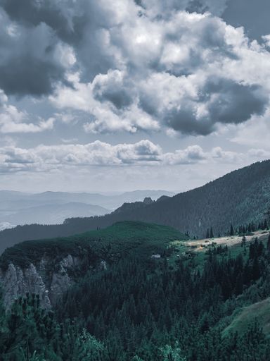 A vertical shot of mountains and trees under a cloudy sky