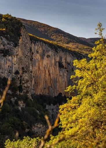 A vertical shot of the hiking area Sentier Blanc-Martel with colorful trees in autumn