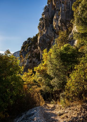 A vertical shot of the hiking area Sentier Blanc-Martel with colorful trees under the clear sky in autumn