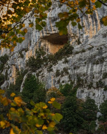A vertical shot of the hiking area Sentier Blanc-Martel with trees in autumn