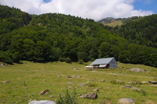 A man walking to a rural house in a field with a lush-forested slope of a hill on the background