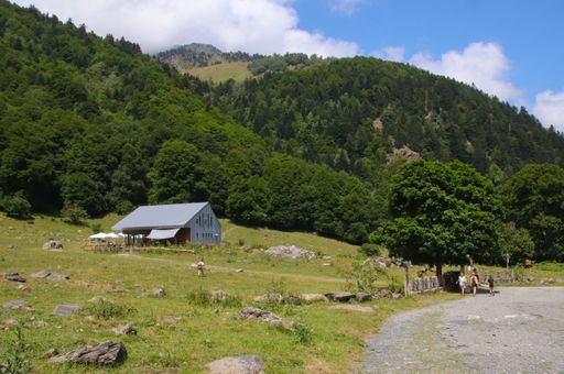 A man walking to a rural house in a field with lush-forested slope of a hill on the background