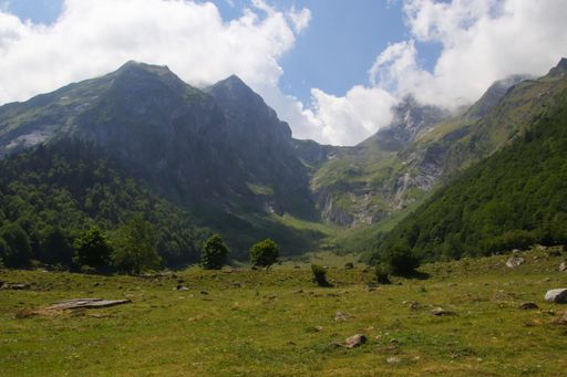 A scenic shot of lush trees in a field on the foot of high rocky hills, cool for background