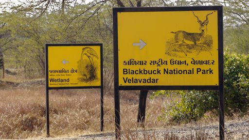 Yellow Information sign of Black Buck National Parks Velavadar in Gujarat India