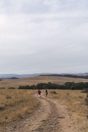 Two people walking along a pathway surrounded by trees under a cloudy sky