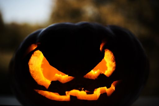 pumpkin is showing the best teeth when it smiles..