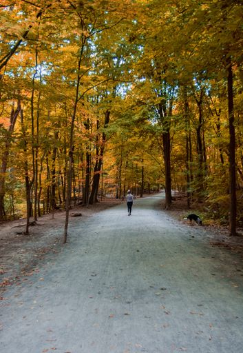 A vertical shot of a lonely woman walking in the forest in the autumn