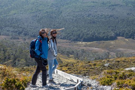 Beautiful scenery along the trails of Mt Cradle surrounded by the rich flora and fauna.