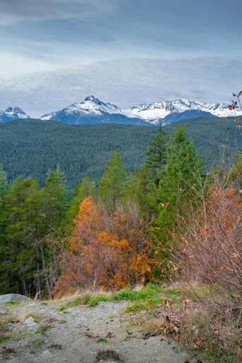 A vertical shot of an autumn forest surrounded by a mountainous scenery in Canada