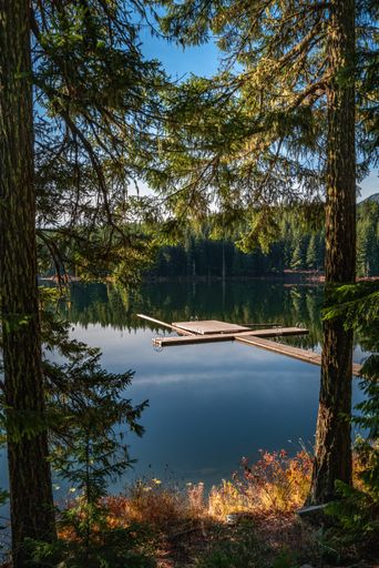 A vertical shot of a green scenery reflecting in the Lost Lake in Whistler BC Canada