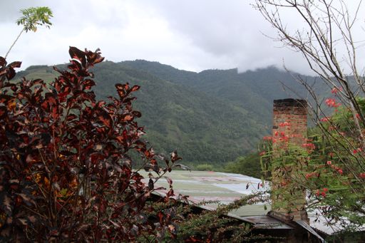 A beautiful view of the mountains covered in greens and gleaming under the cloudy sky