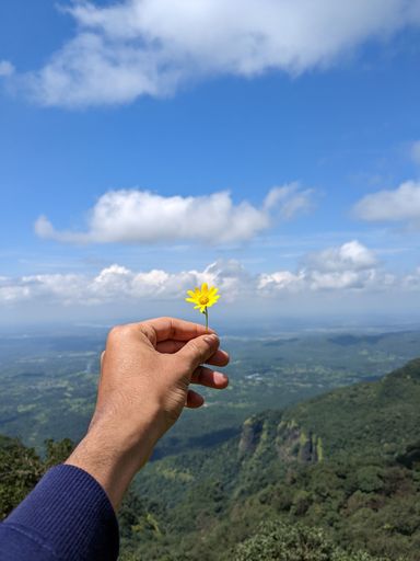A vertical shot of a small yellow flower in a human hand on a mountain against cloudy sky