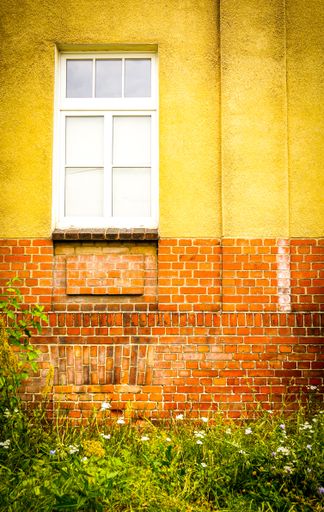A vertical shot of a fresh grass grown in front of a stone wall with an old-style window