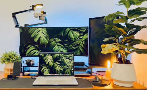 A desk setup with MacBook, curved monitor and a plant.