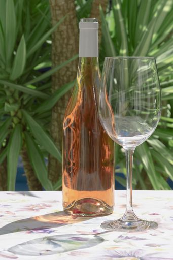 Close up of a wine glass with a bottle of rose wine on a table and plants on a background out focus