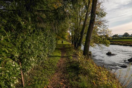 A panoramic shot of a riverside trail with a forest on one side and trees along the river