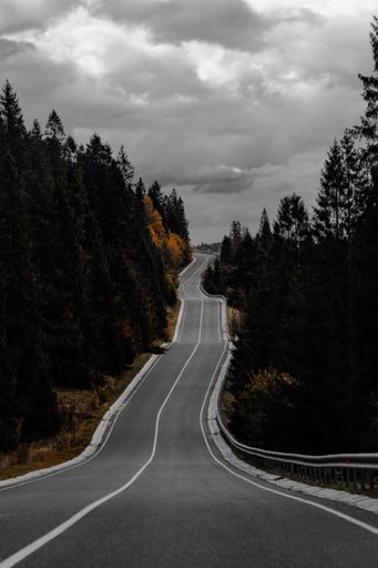 A vertical shot of an empty road surrounded by autumn trees on a cloudy day