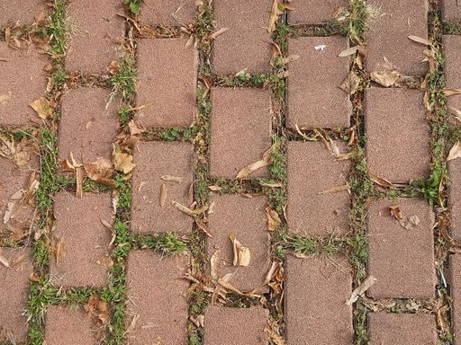 A top view of the sidewalk with bricks covered in grass and leaves