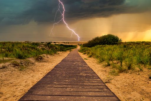 A beautiful shot of a boardwalk on the beach surrounded by greenery under storm clouds in Borkum, Germany