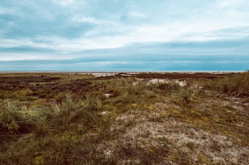 A beautiful shot of a sandy beach on a cloudy sky background in Borkum, Germany